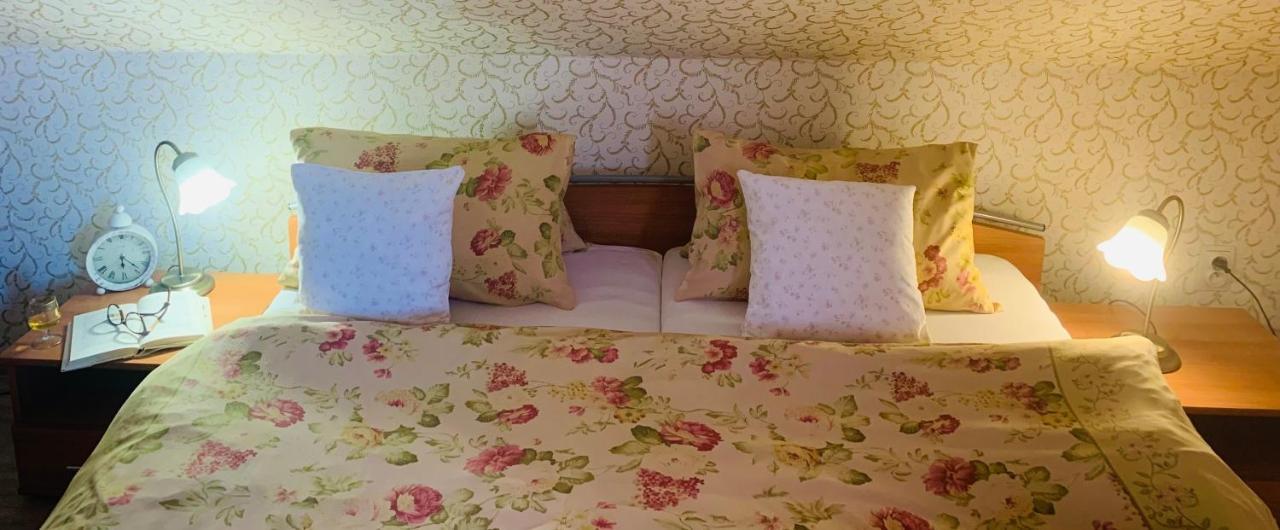 Hotel Penzion Tramky Vikýřovice Extérieur photo